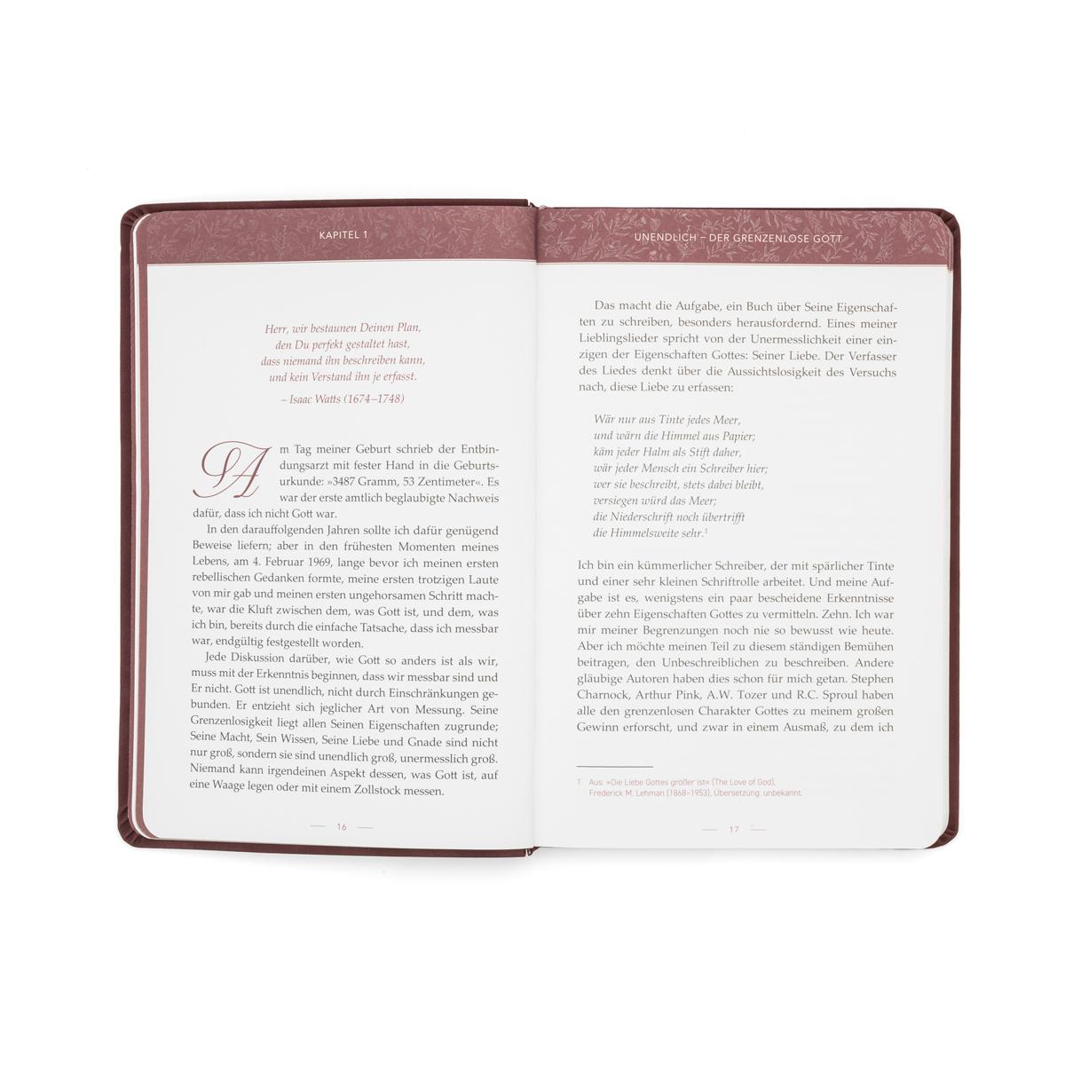 Beispielinhalt (Bild) Keiner ist wie Er