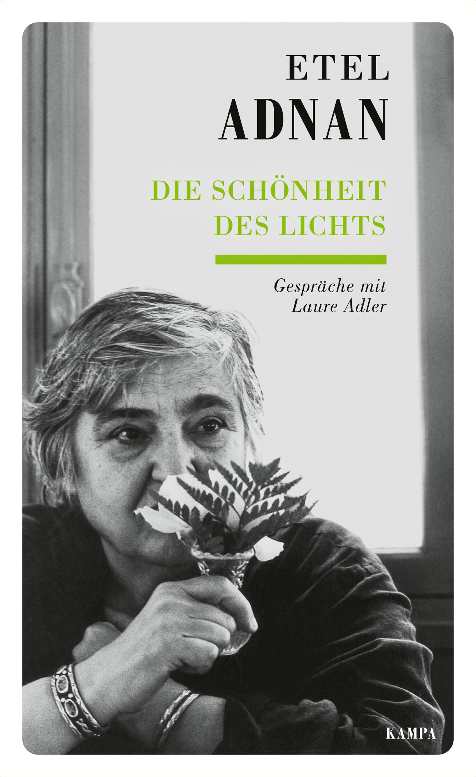 Vorderes Coverbild Die Schönheit des Lichts