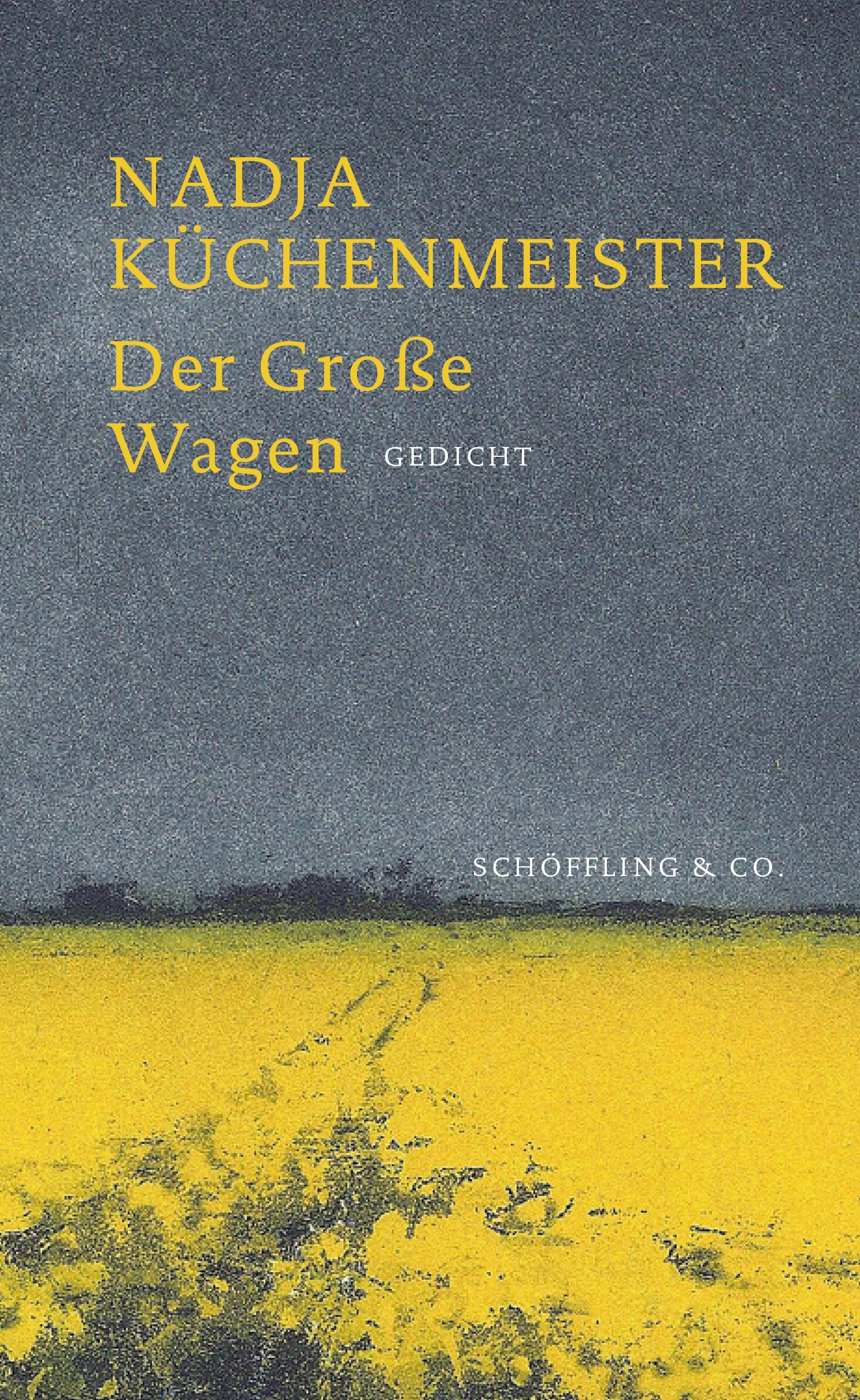 Vorderes Coverbild Der Große Wagen