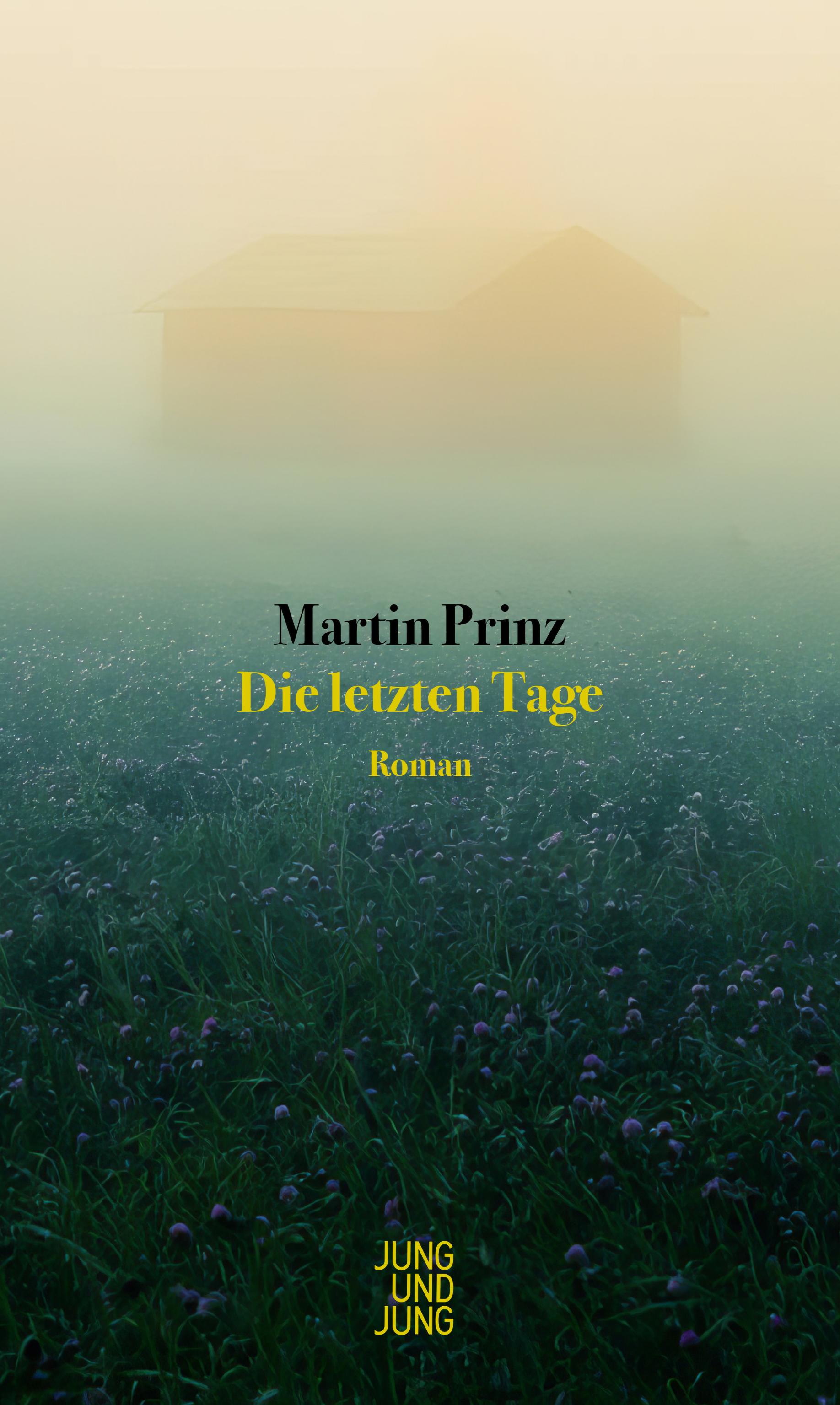 Vorderes Coverbild Die letzten Tage