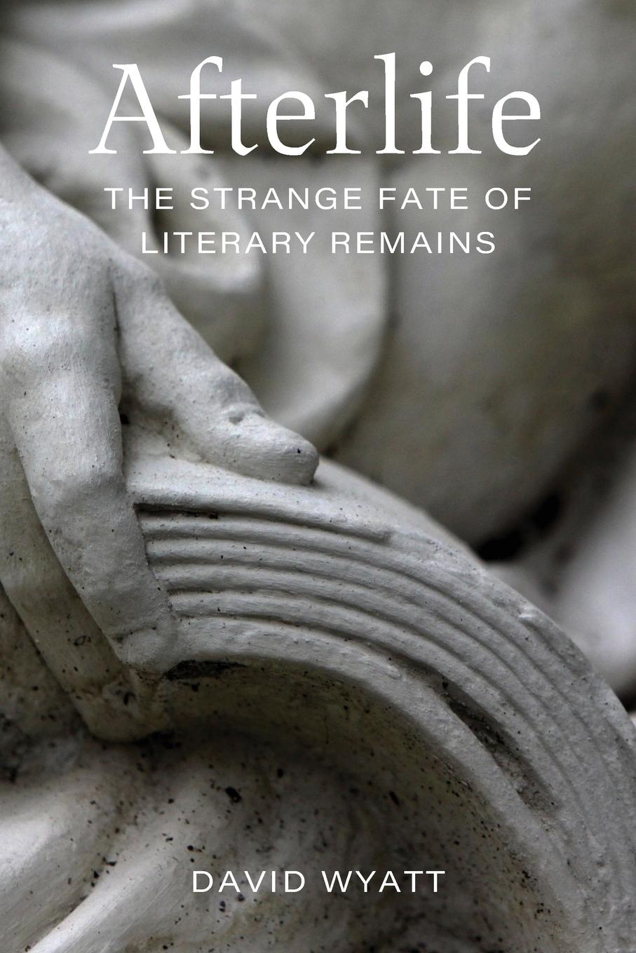 Vorderes Coverbild Afterlife