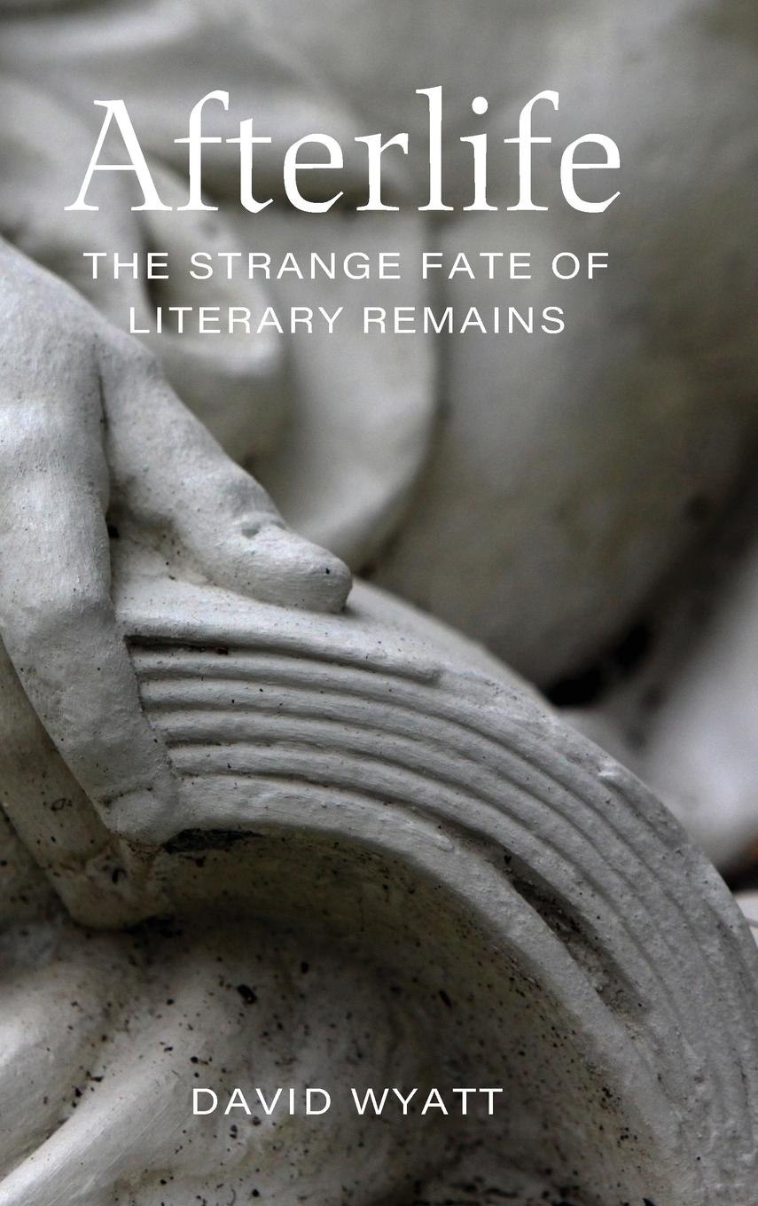 Vorderes Coverbild Afterlife