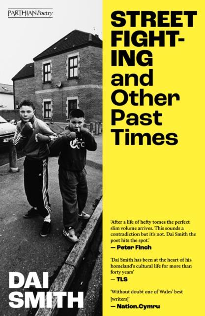 Vorderes Coverbild Street Fighting and Other Past Times