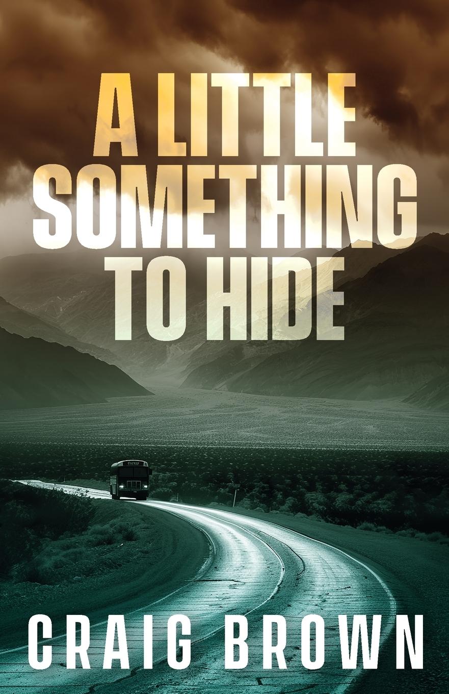 Vorderes Coverbild A Little Something To Hide