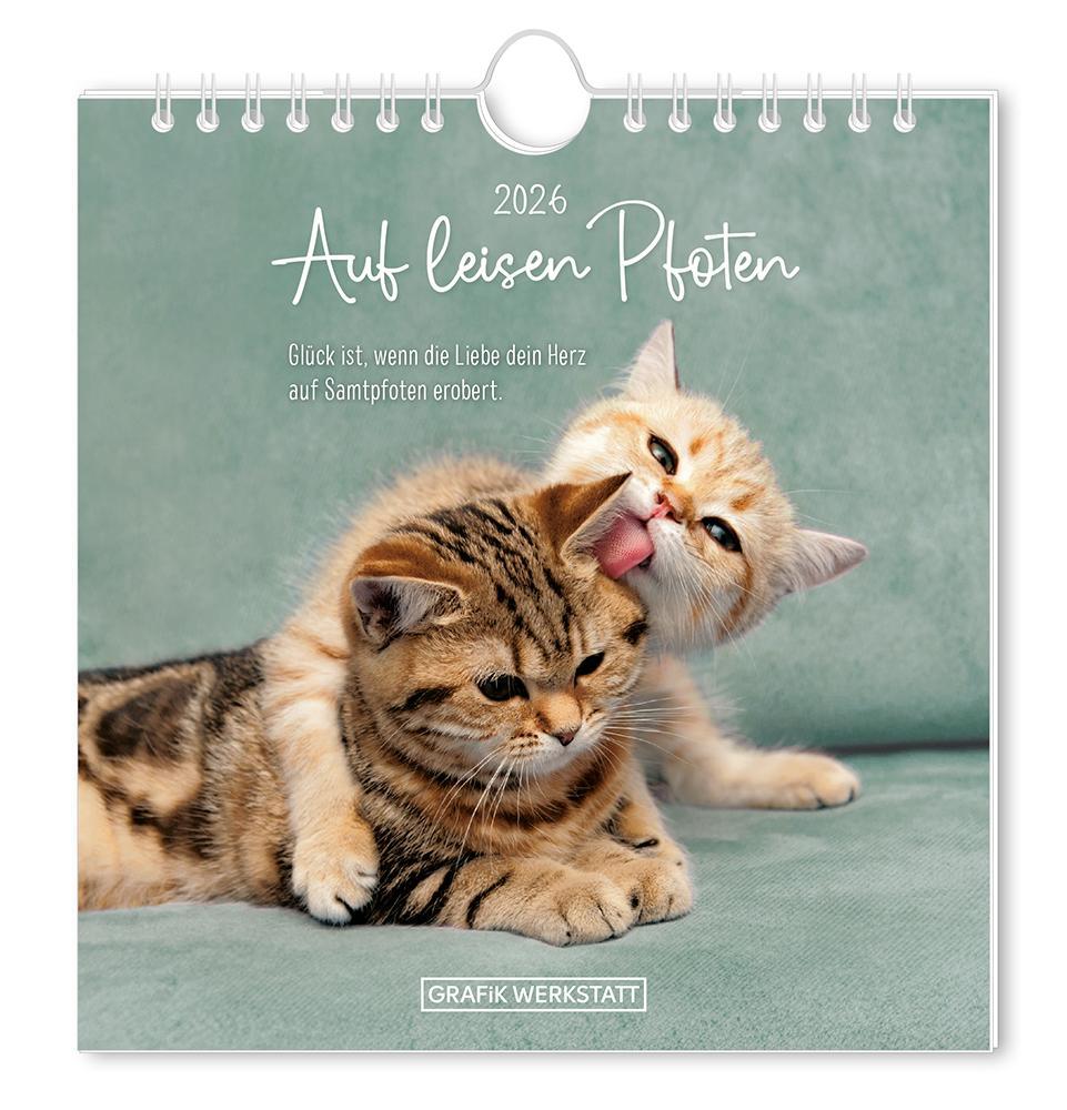 Vorderes Coverbild Postkartenkalender 2026 Auf leisen Pfoten