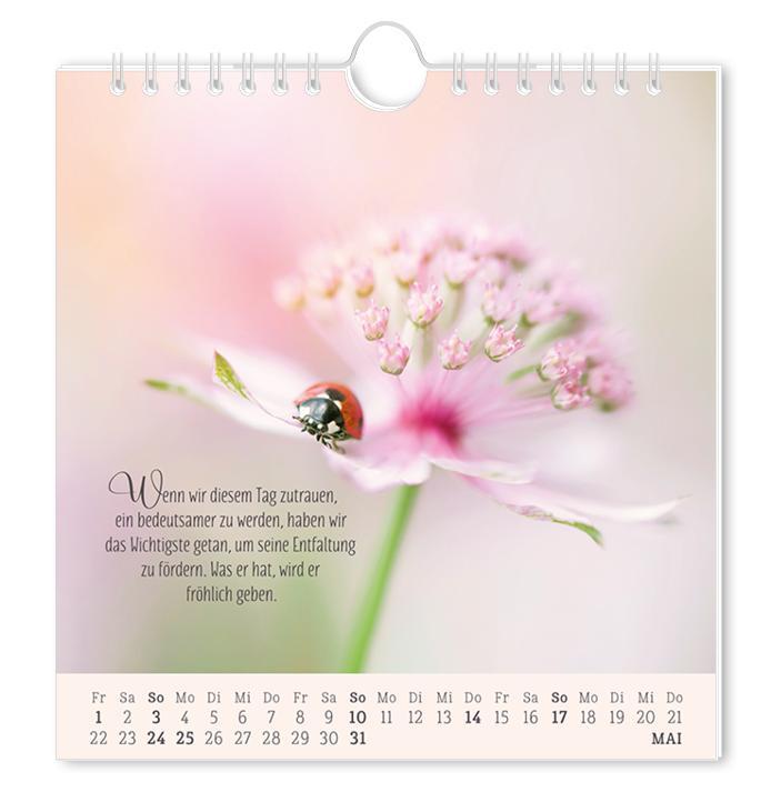 Beispielinhalt (Bild) Postkartenkalender 2026 Lebenszeichen