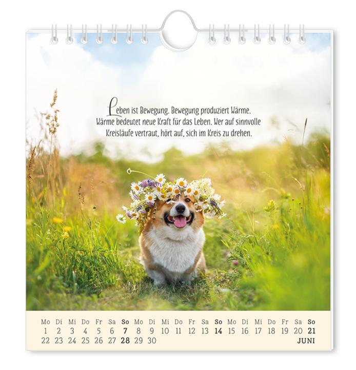 Beispielinhalt (Bild) Postkartenkalender 2026 Lebenszeichen