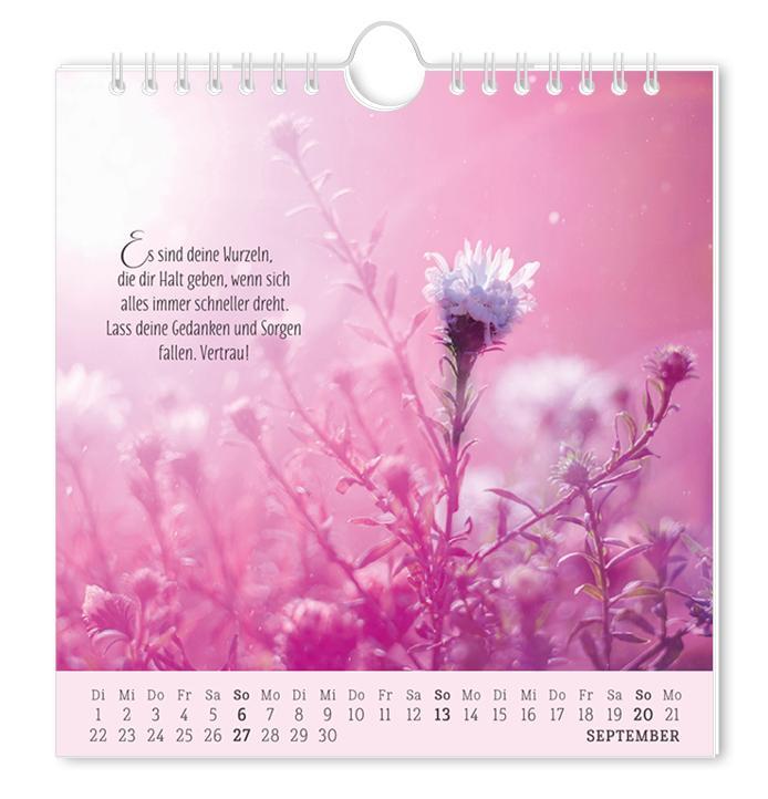 Beispielinhalt (Bild) Postkartenkalender 2026 Lebenszeichen