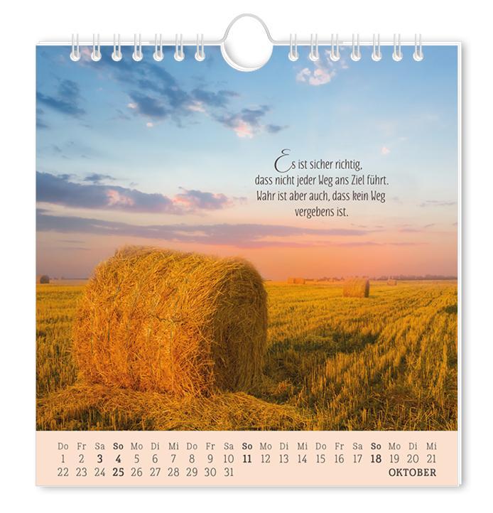 Beispielinhalt (Bild) Postkartenkalender 2026 Lebenszeichen