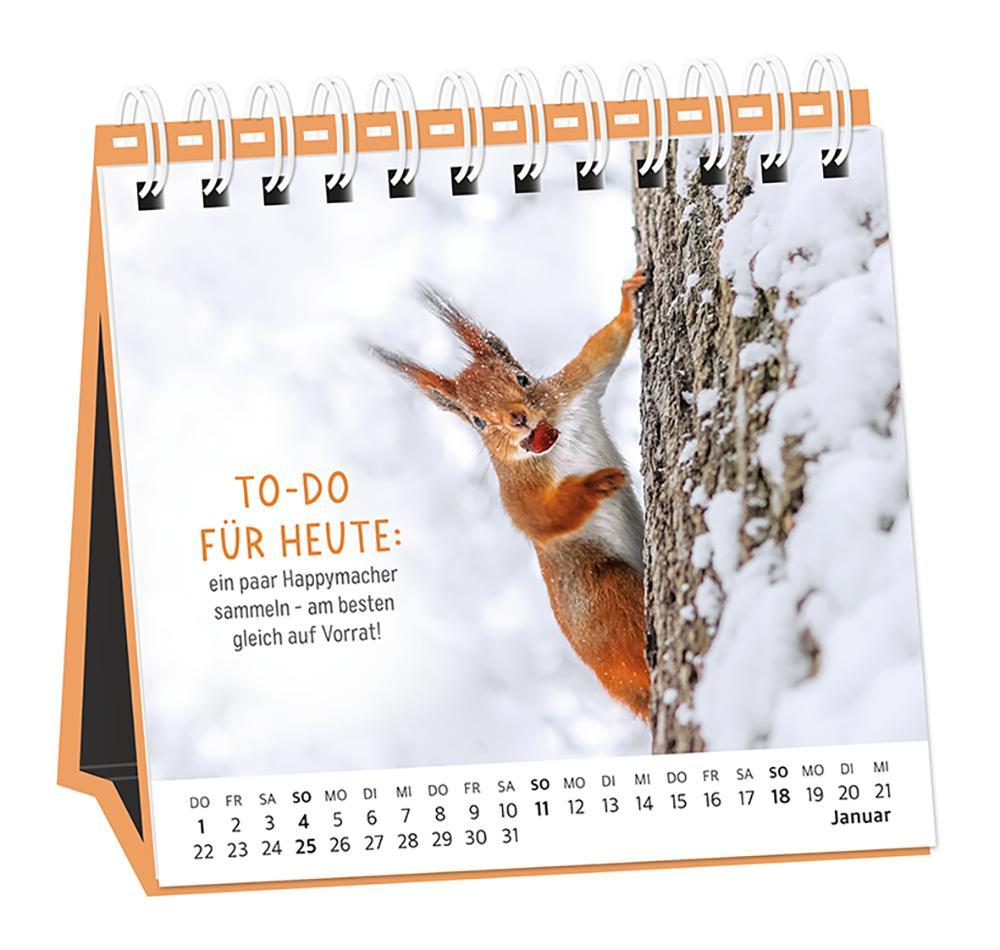 Beispielinhalt (Bild) Tischkalender 2026 Happymacher