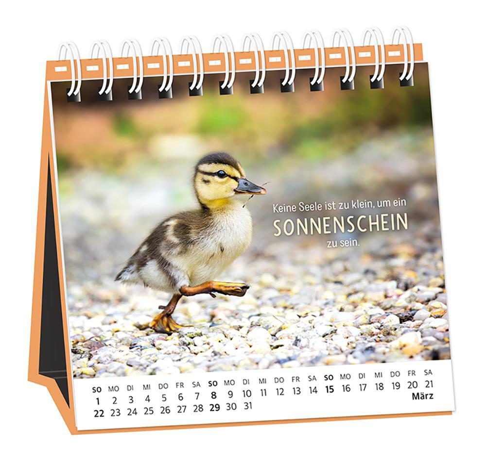 Beispielinhalt (Bild) Tischkalender 2026 Happymacher