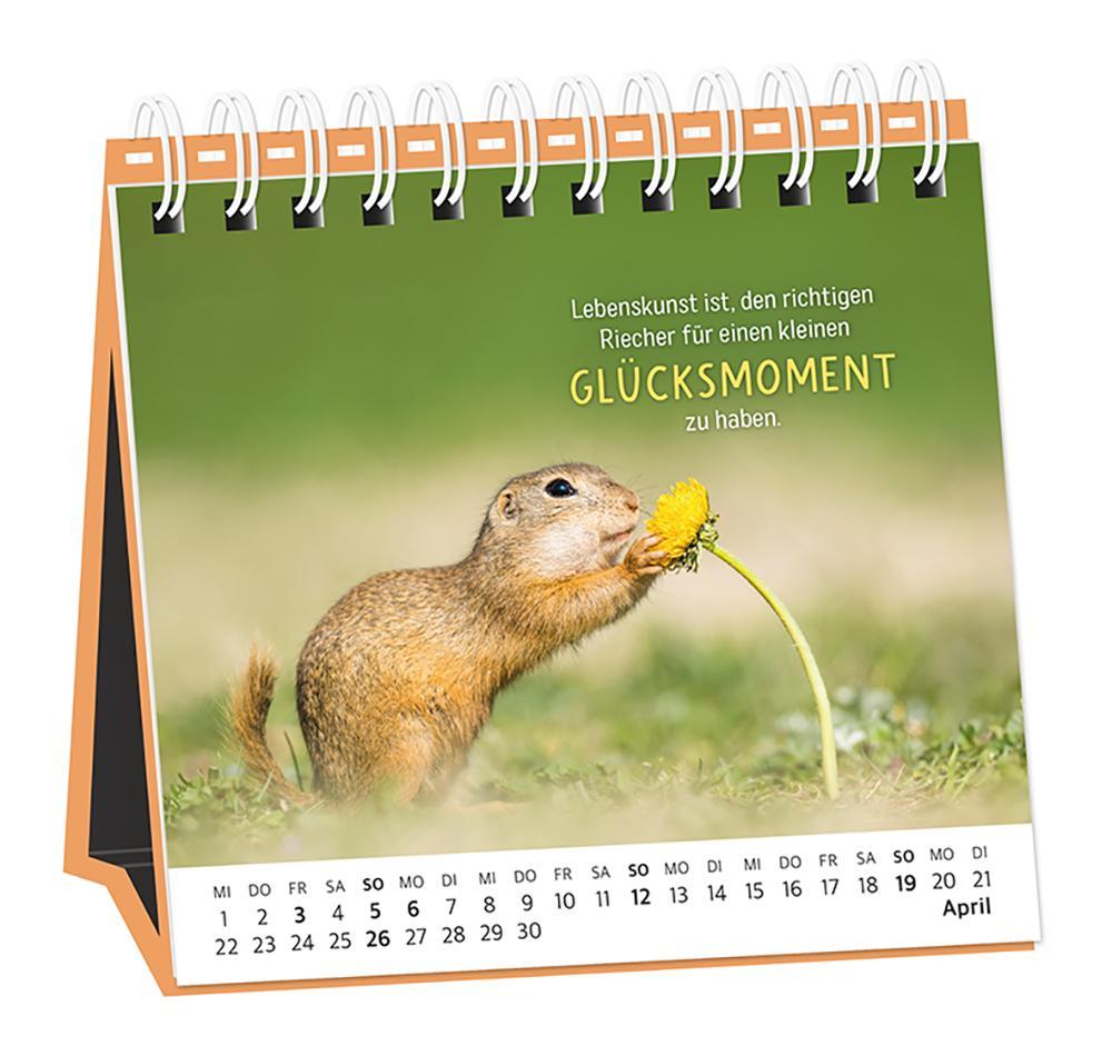 Beispielinhalt (Bild) Tischkalender 2026 Happymacher