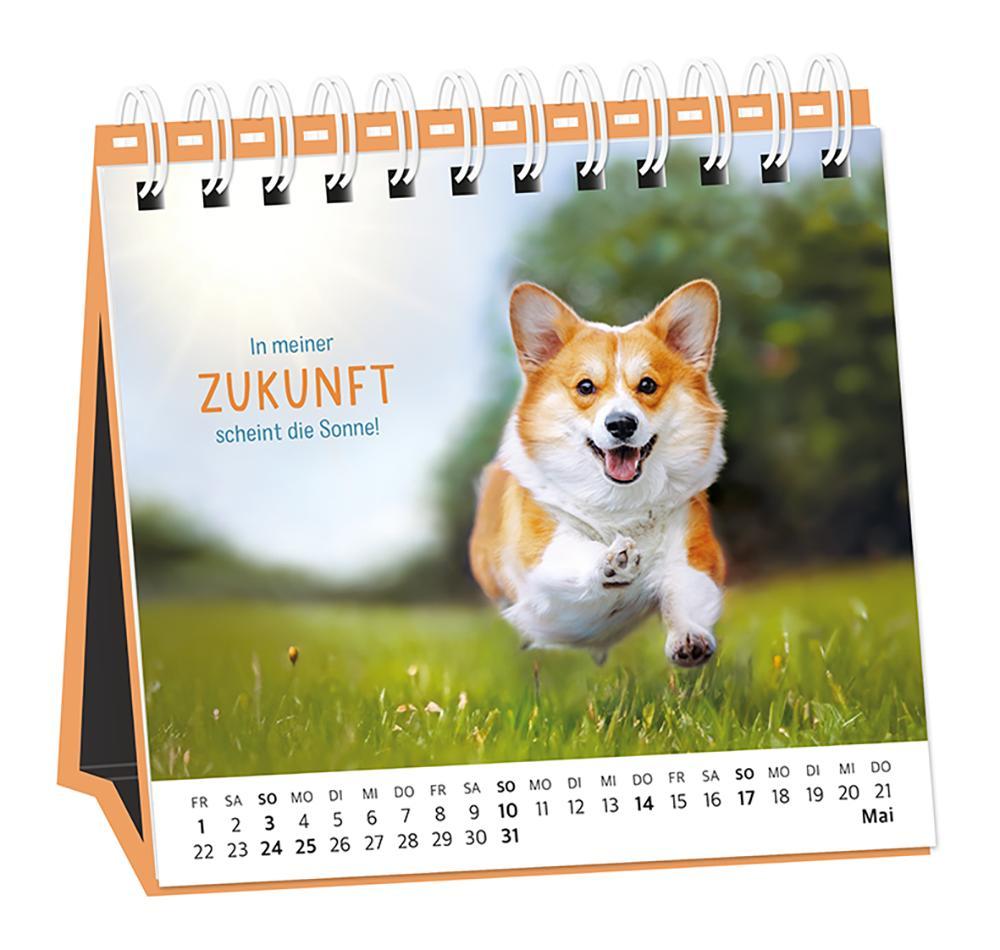 Beispielinhalt (Bild) Tischkalender 2026 Happymacher