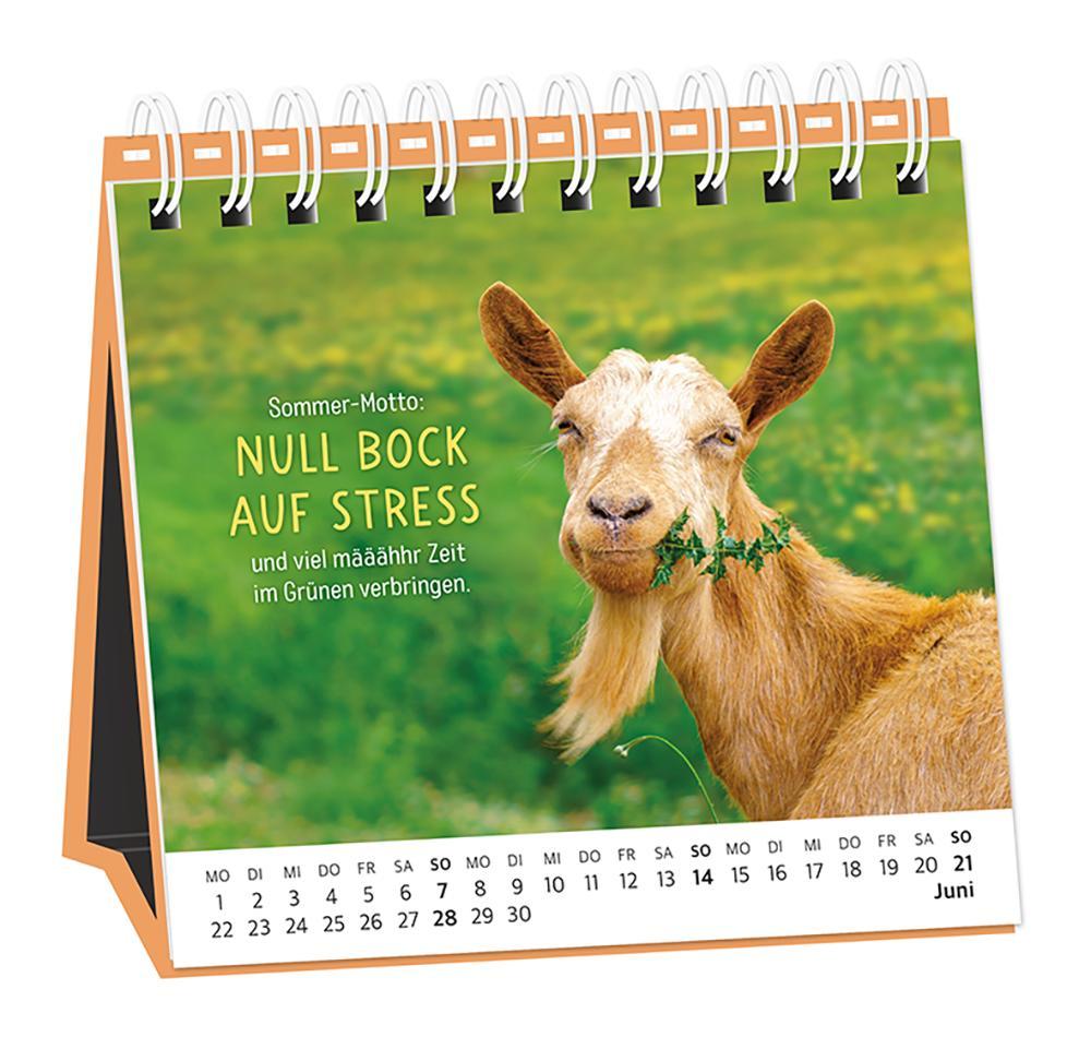 Beispielinhalt (Bild) Tischkalender 2026 Happymacher