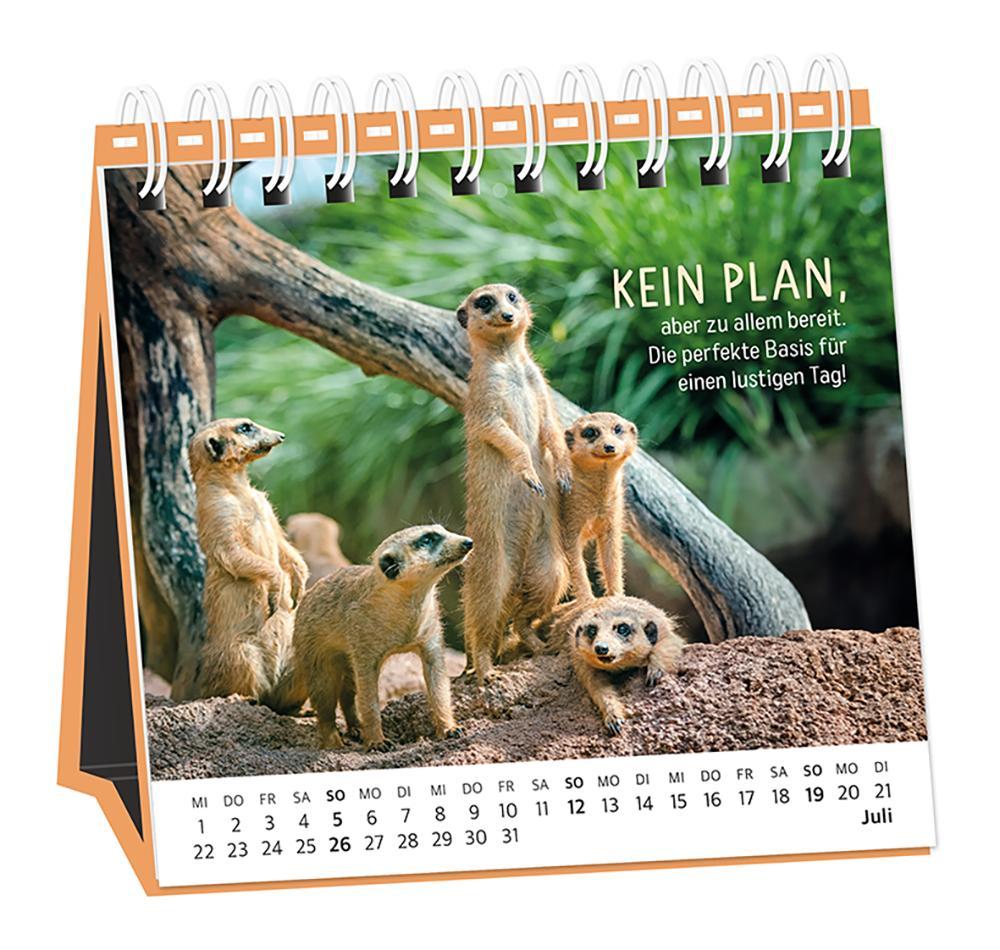 Beispielinhalt (Bild) Tischkalender 2026 Happymacher
