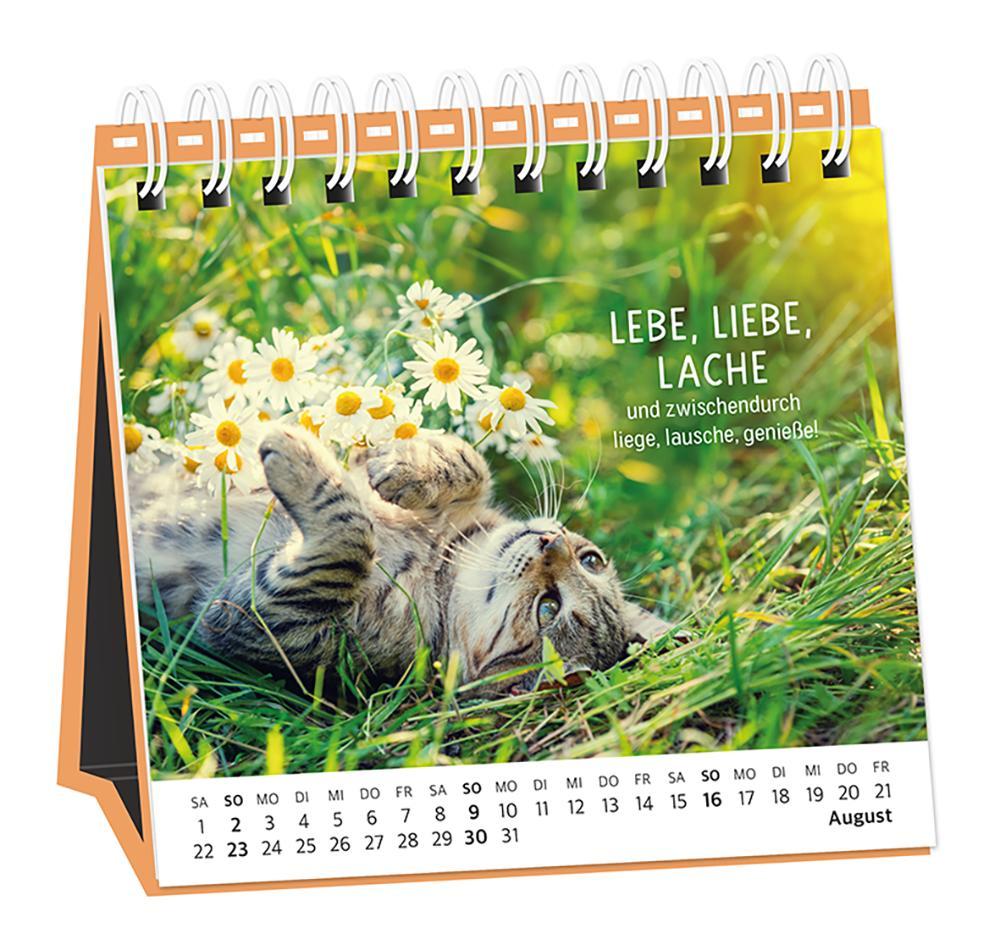 Beispielinhalt (Bild) Tischkalender 2026 Happymacher