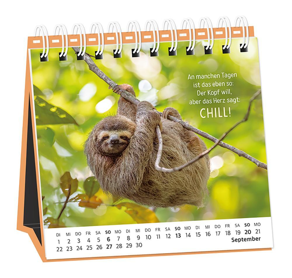 Beispielinhalt (Bild) Tischkalender 2026 Happymacher