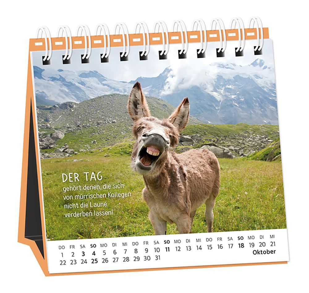 Beispielinhalt (Bild) Tischkalender 2026 Happymacher