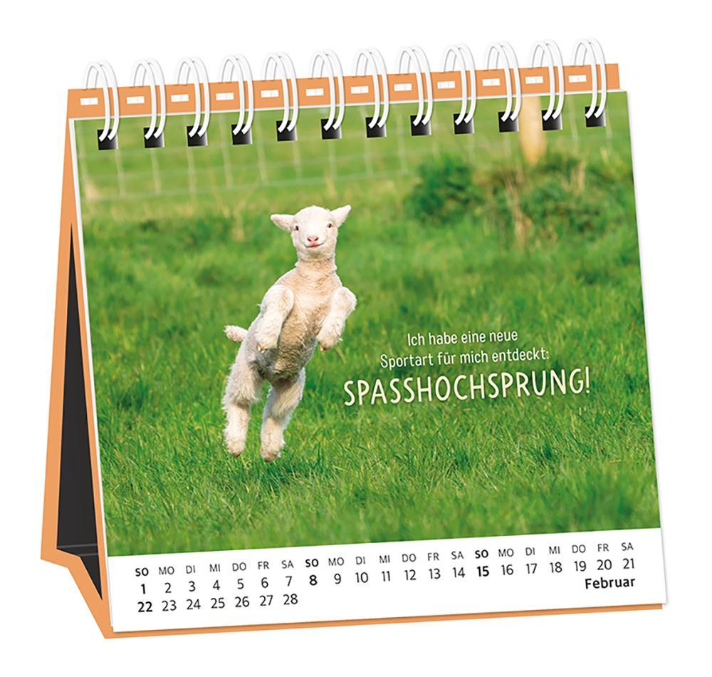 Beispielinhalt (Bild) Tischkalender 2026 Happymacher