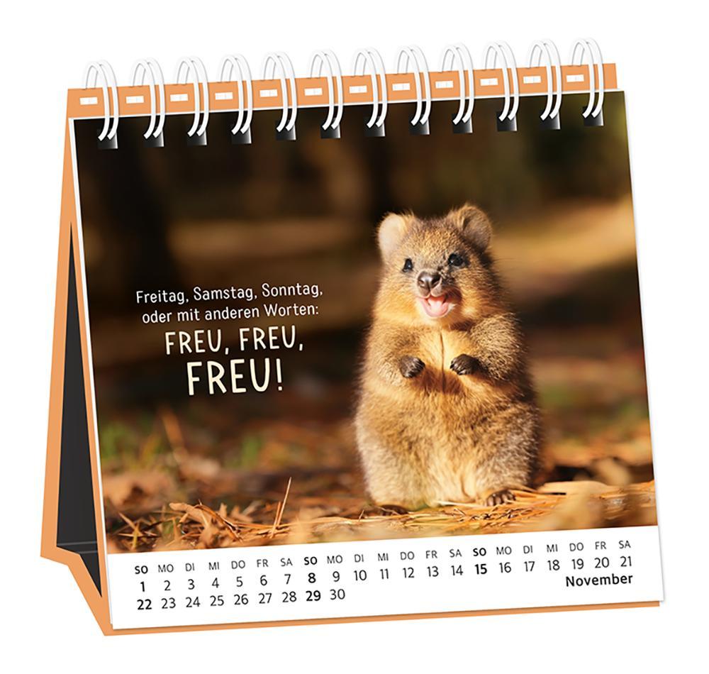 Beispielinhalt (Bild) Tischkalender 2026 Happymacher