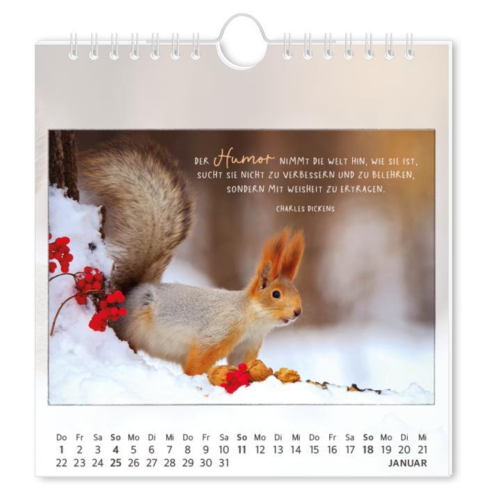 Beispielinhalt (Bild) Postkartenkalender 2026 Traumtage