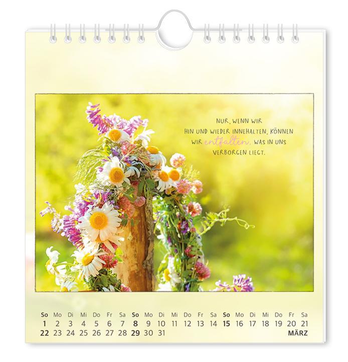 Beispielinhalt (Bild) Postkartenkalender 2026 Traumtage