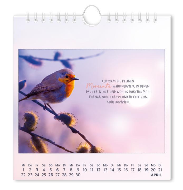 Beispielinhalt (Bild) Postkartenkalender 2026 Traumtage