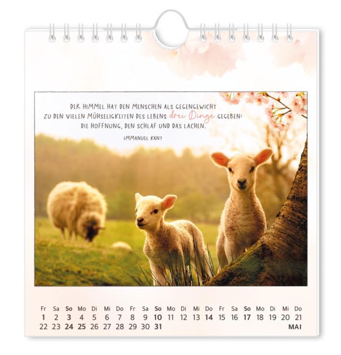 Beispielinhalt (Bild) Postkartenkalender 2026 Traumtage