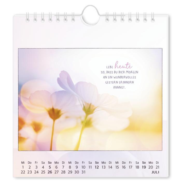 Beispielinhalt (Bild) Postkartenkalender 2026 Traumtage