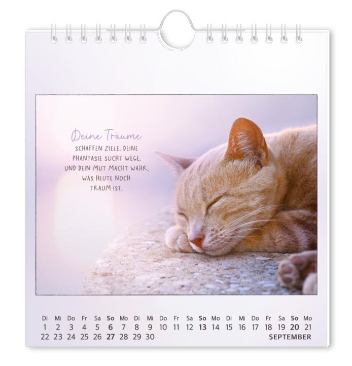 Beispielinhalt (Bild) Postkartenkalender 2026 Traumtage