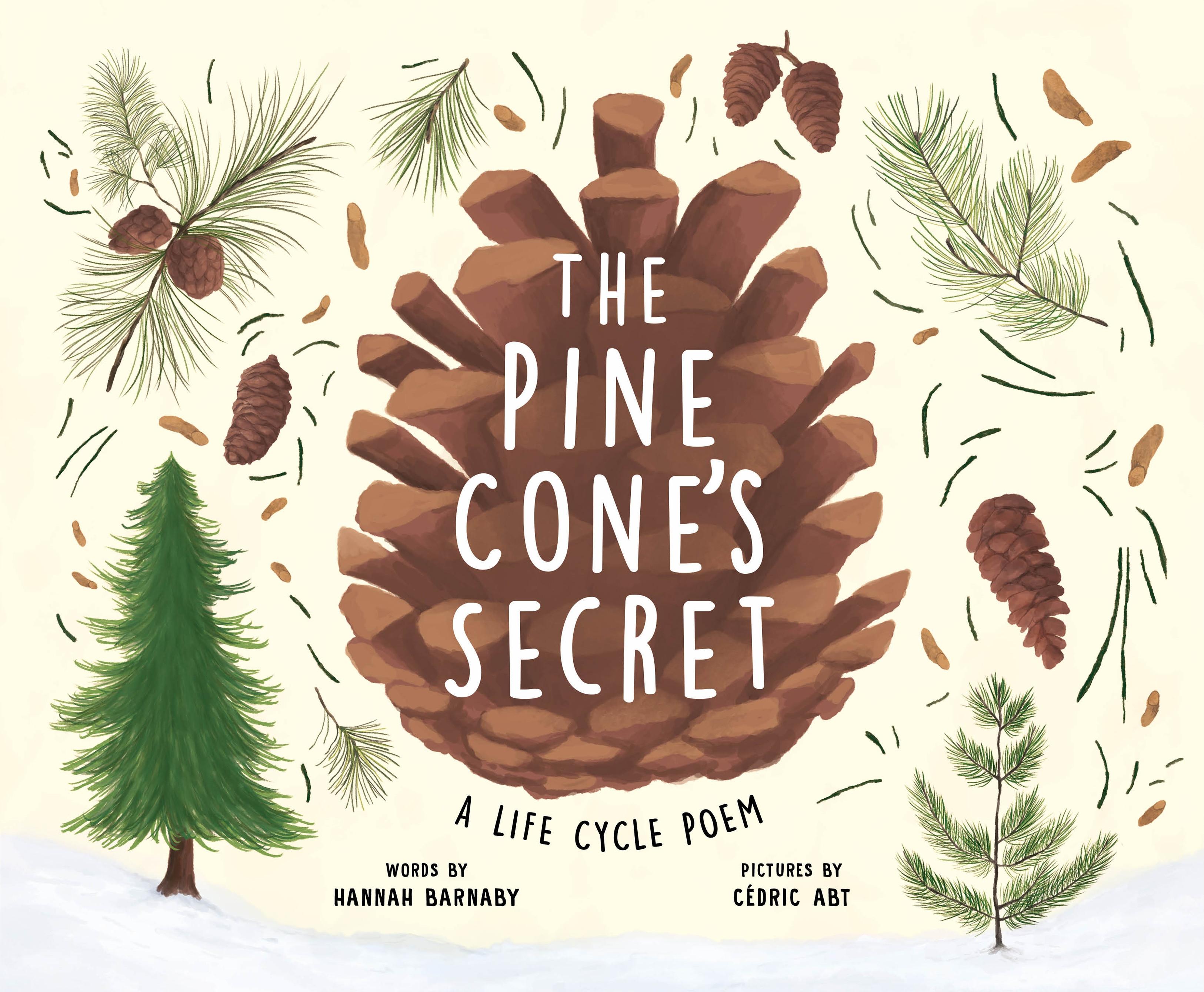 Vorderes Coverbild The Pine Cone's Secret