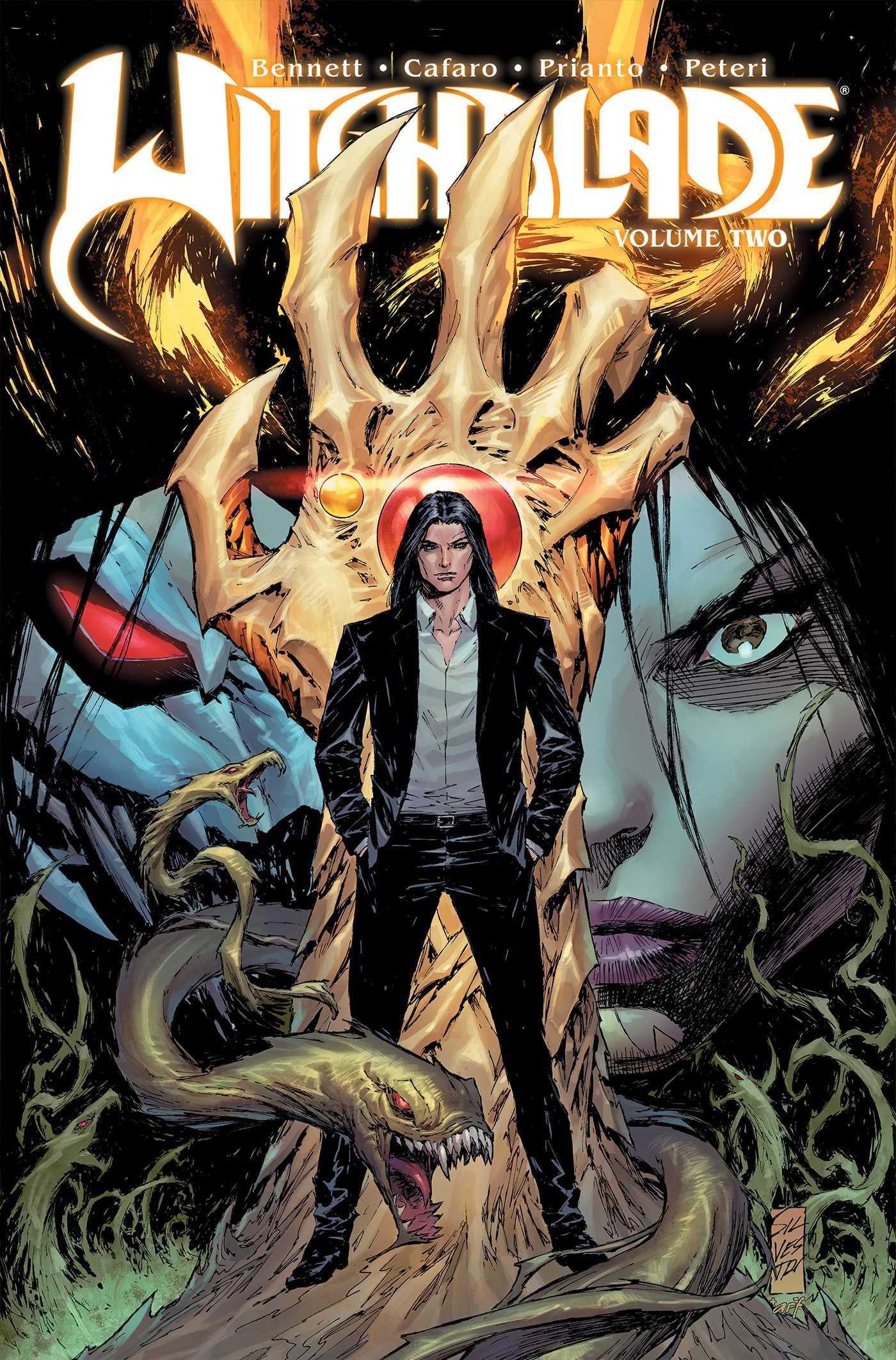 Vorderes Coverbild Witchblade Volume 2