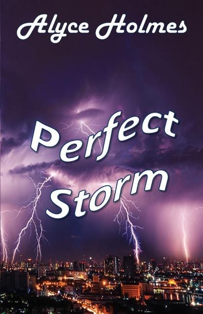 Vorderes Coverbild Perfect Storm