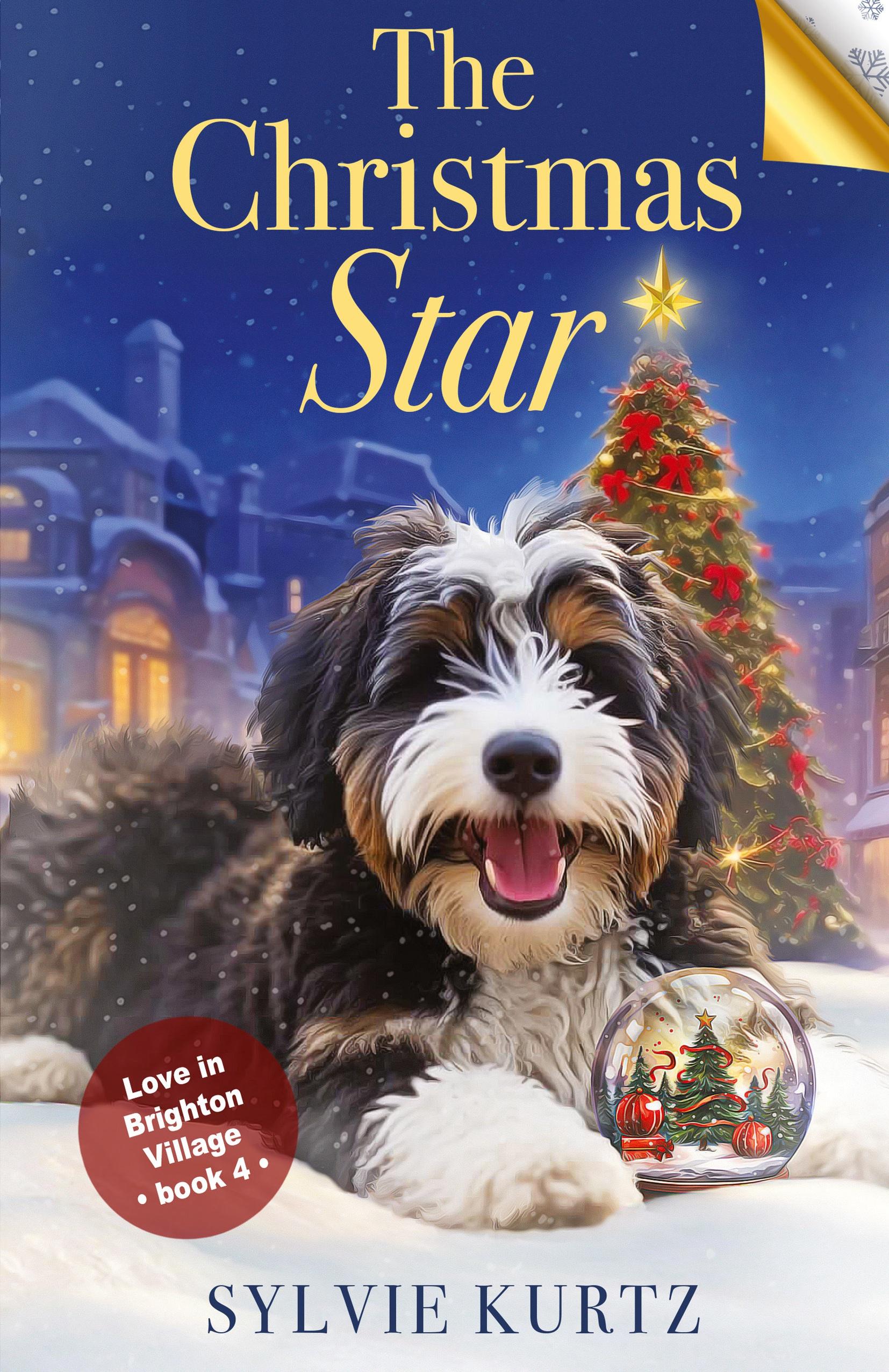 Vorderes Coverbild The Christmas Star