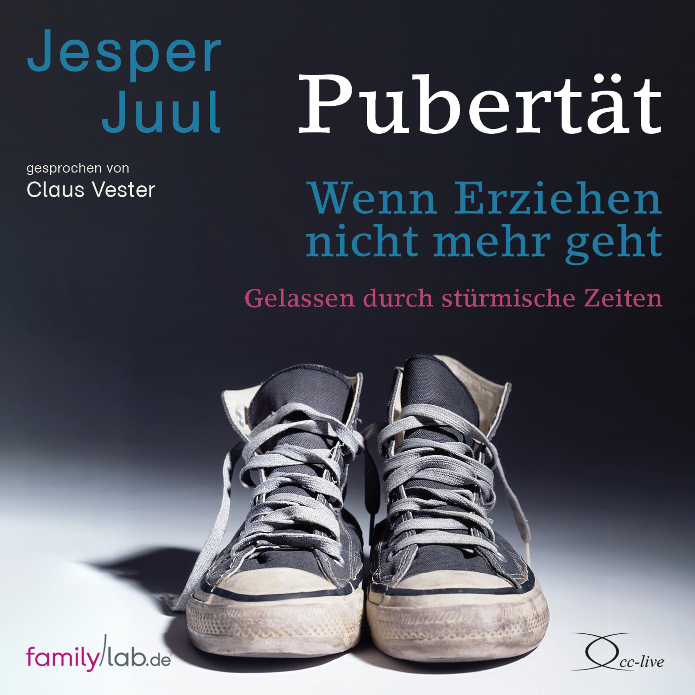 Vorderes Coverbild Pubertät - wenn Erziehen nicht mehr geht