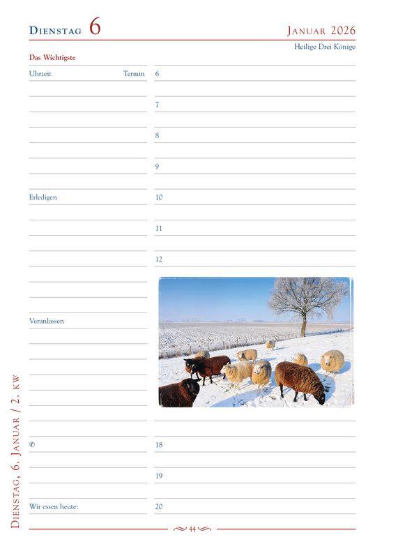 Beispielinhalt (Bild) Mein Jahr 2026