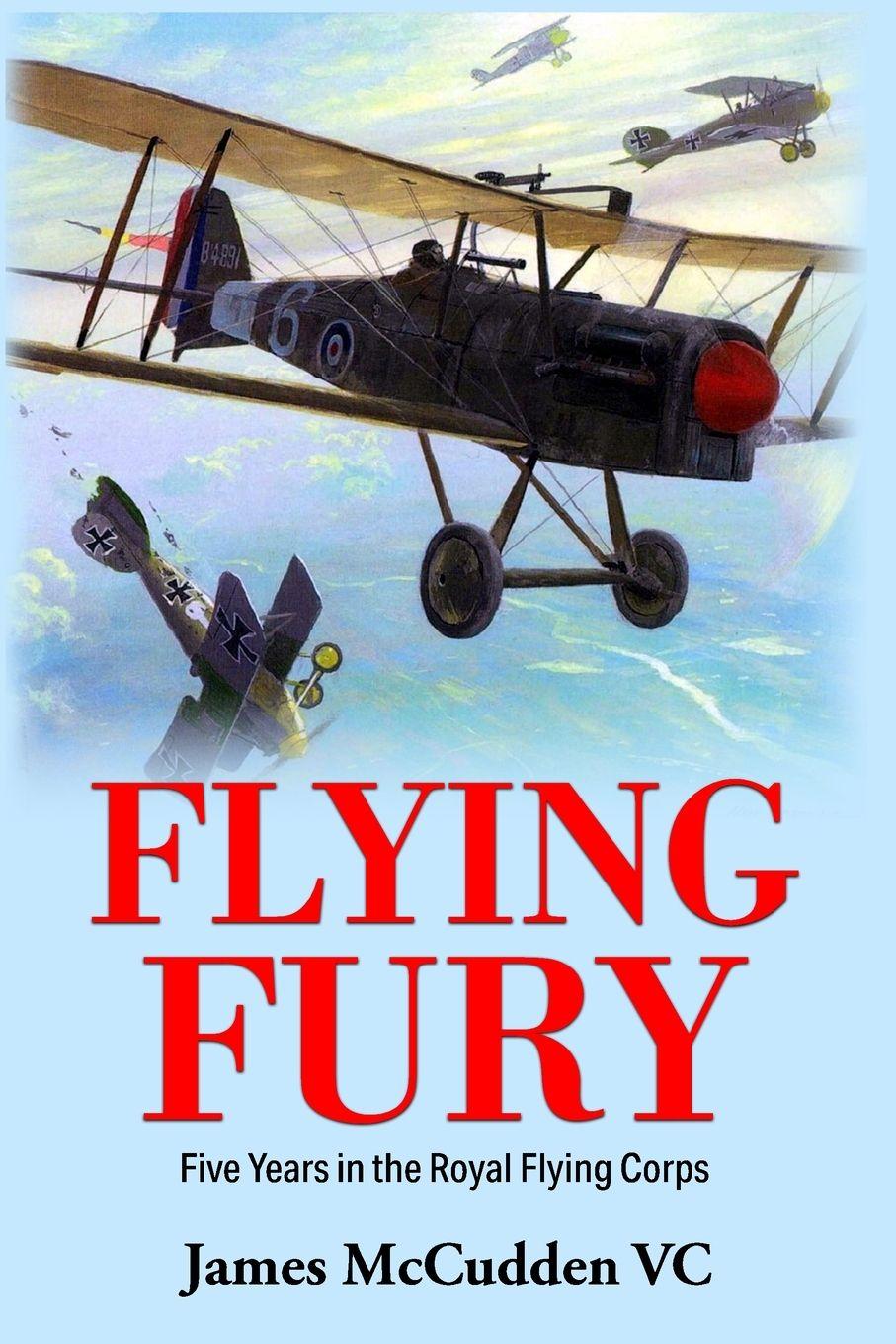 Vorderes Coverbild Flying Fury
