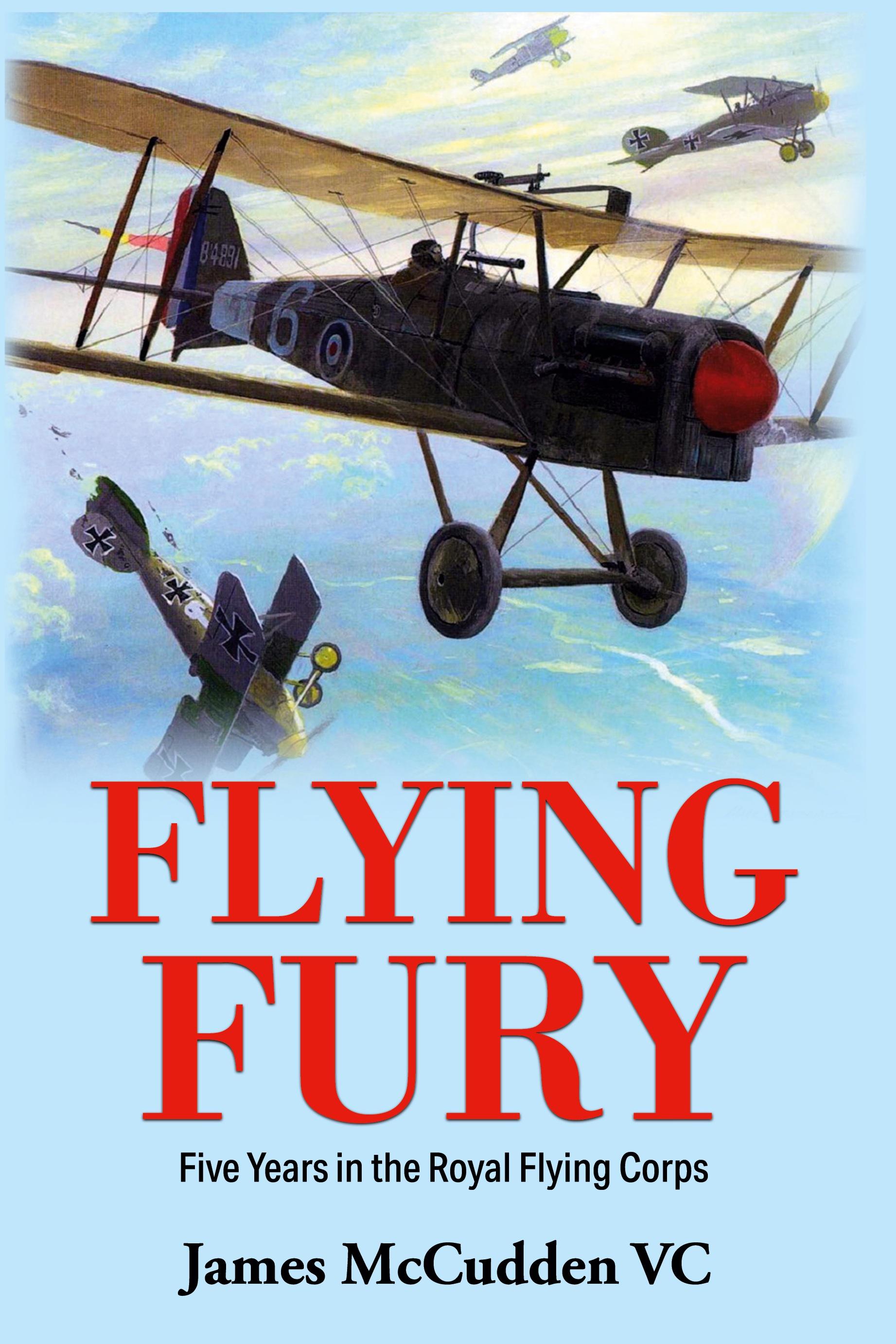 Vorderes Coverbild Flying Fury