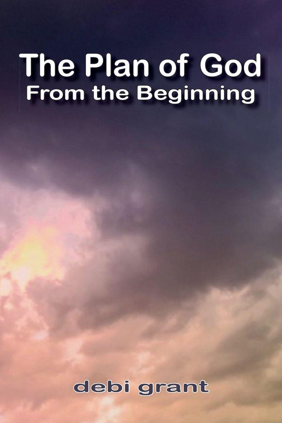 Vorderes Coverbild The Plan of God From the Beginning