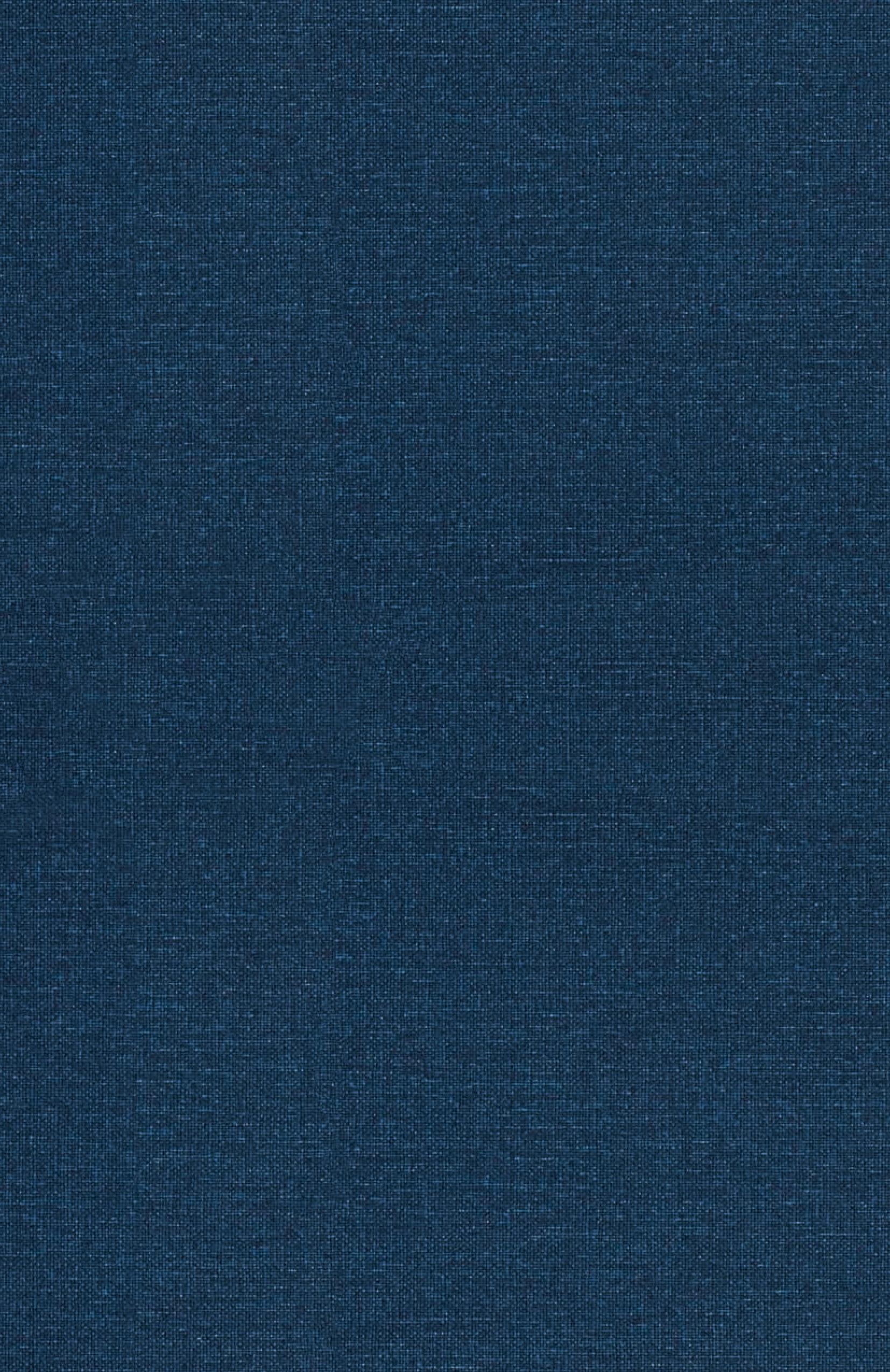 Vorderes Coverbild The Rise of AI Gadgets