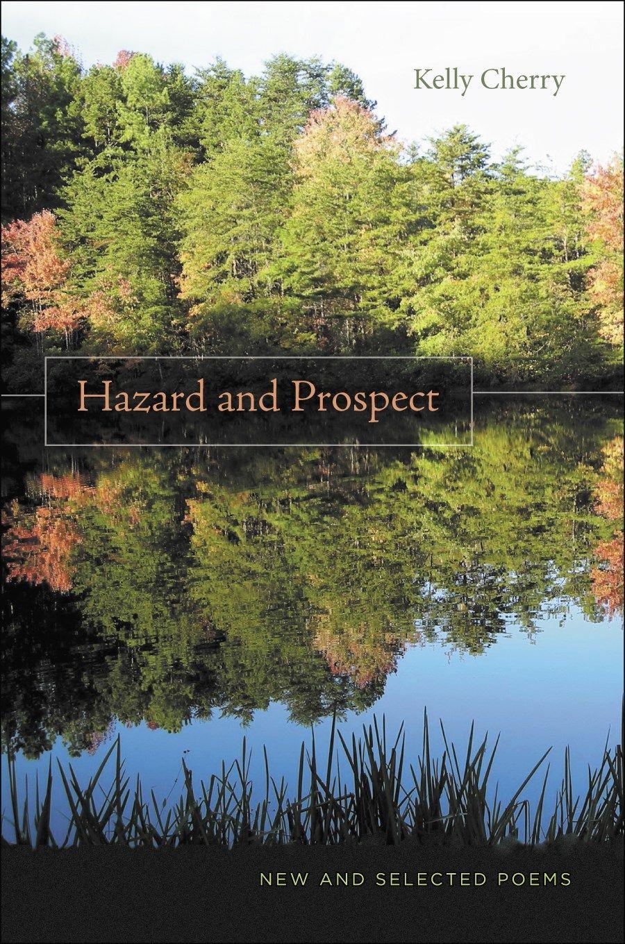 Vorderes Coverbild Hazard and Prospect
