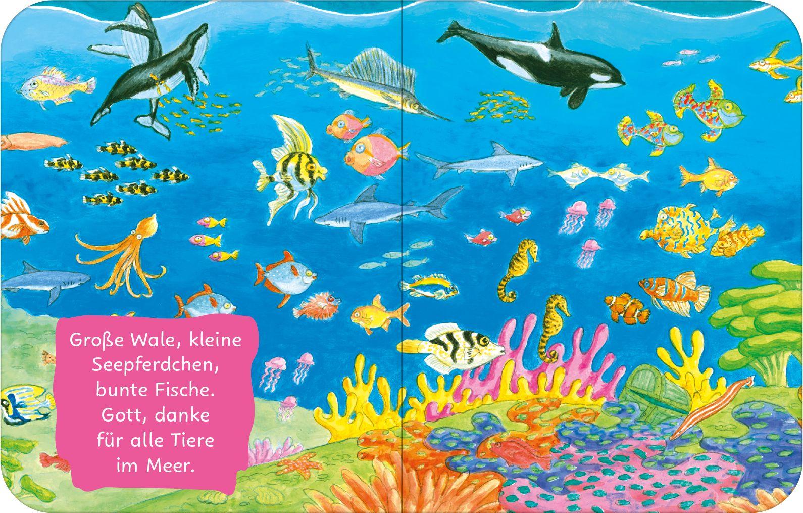 Beispielinhalt (Bild) Gottes schöne Welt