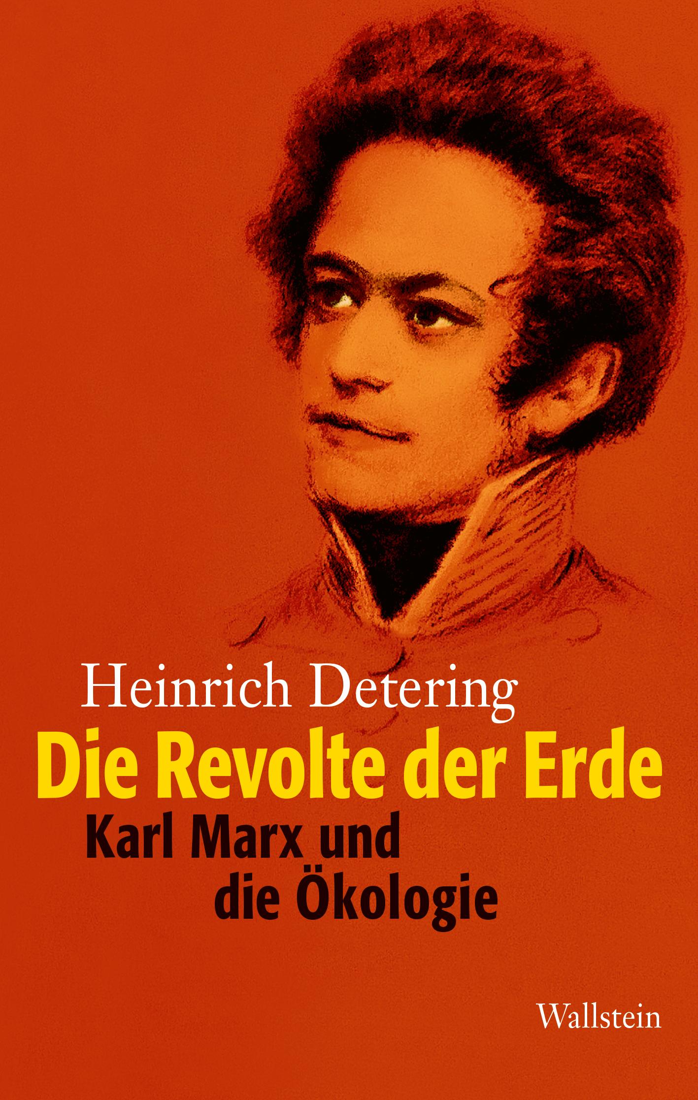 Vorderes Coverbild Die Revolte der Erde