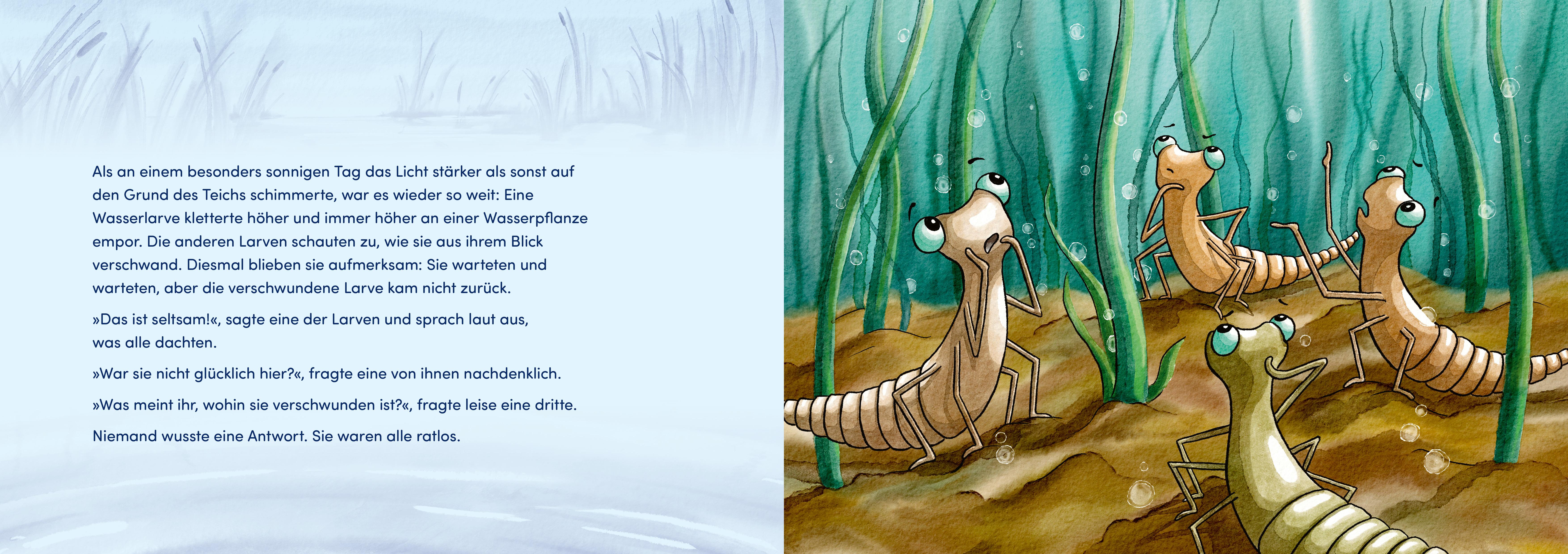 Beispielinhalt (Bild) Von Larven und Libellen