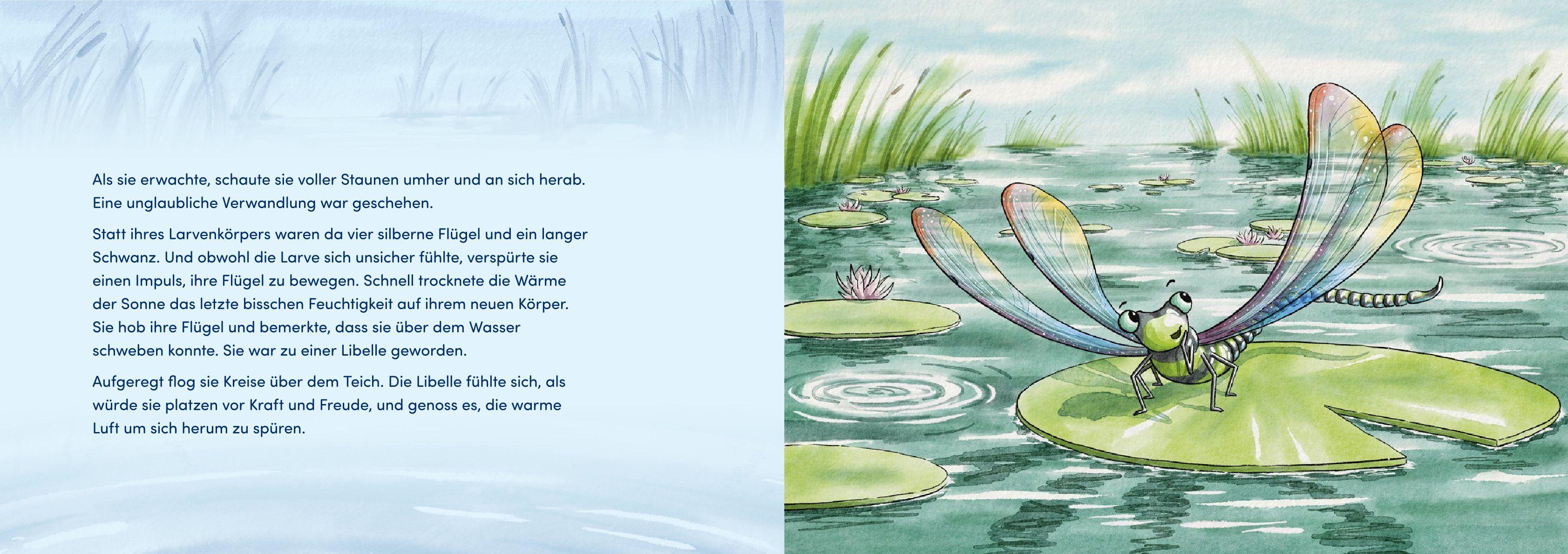 Beispielinhalt (Bild) Von Larven und Libellen