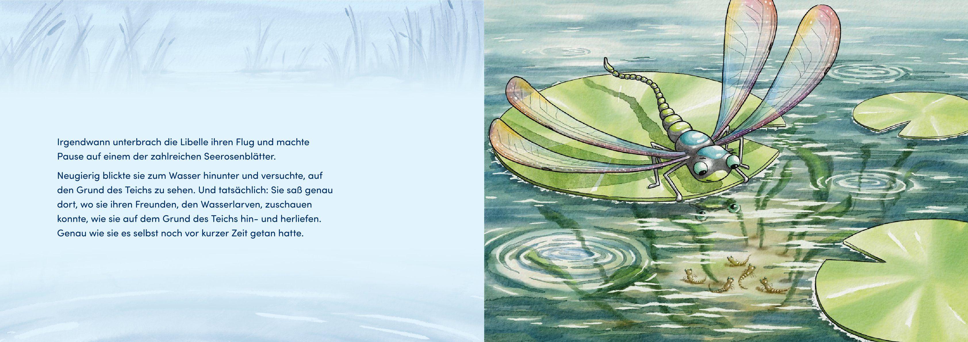 Beispielinhalt (Bild) Von Larven und Libellen