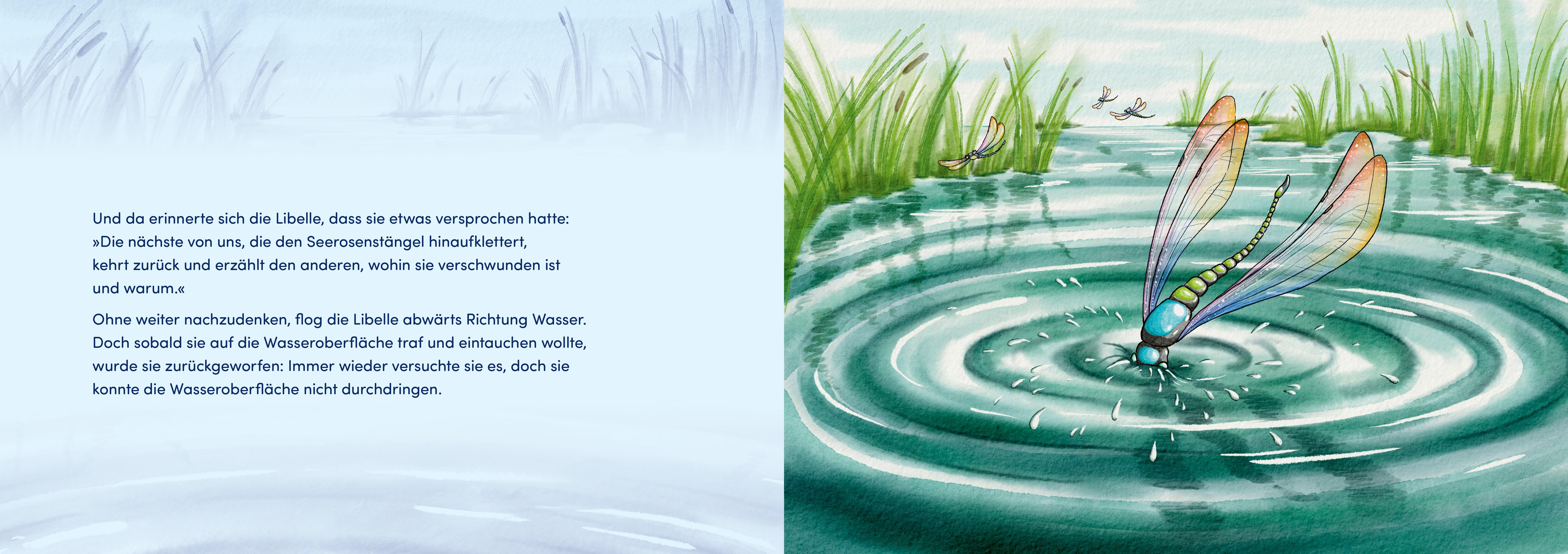 Beispielinhalt (Bild) Von Larven und Libellen