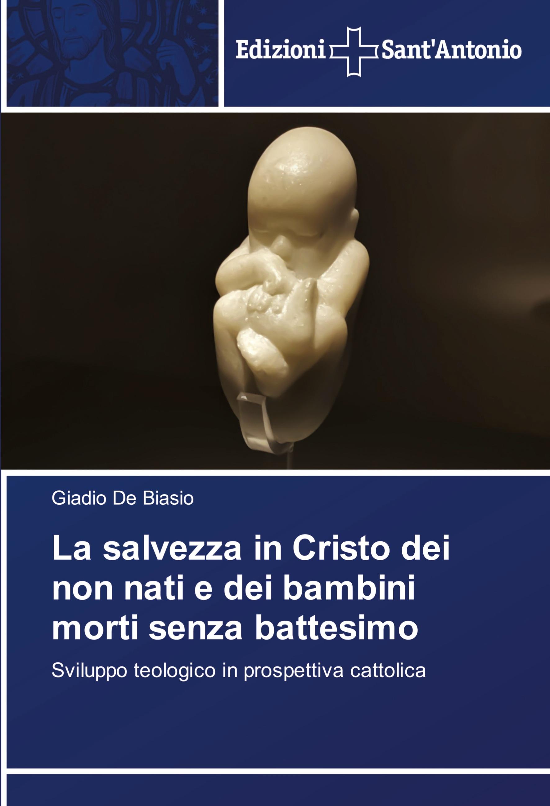 Vorderes Coverbild La salvezza in Cristo dei non nati e dei bambini morti senza battesimo