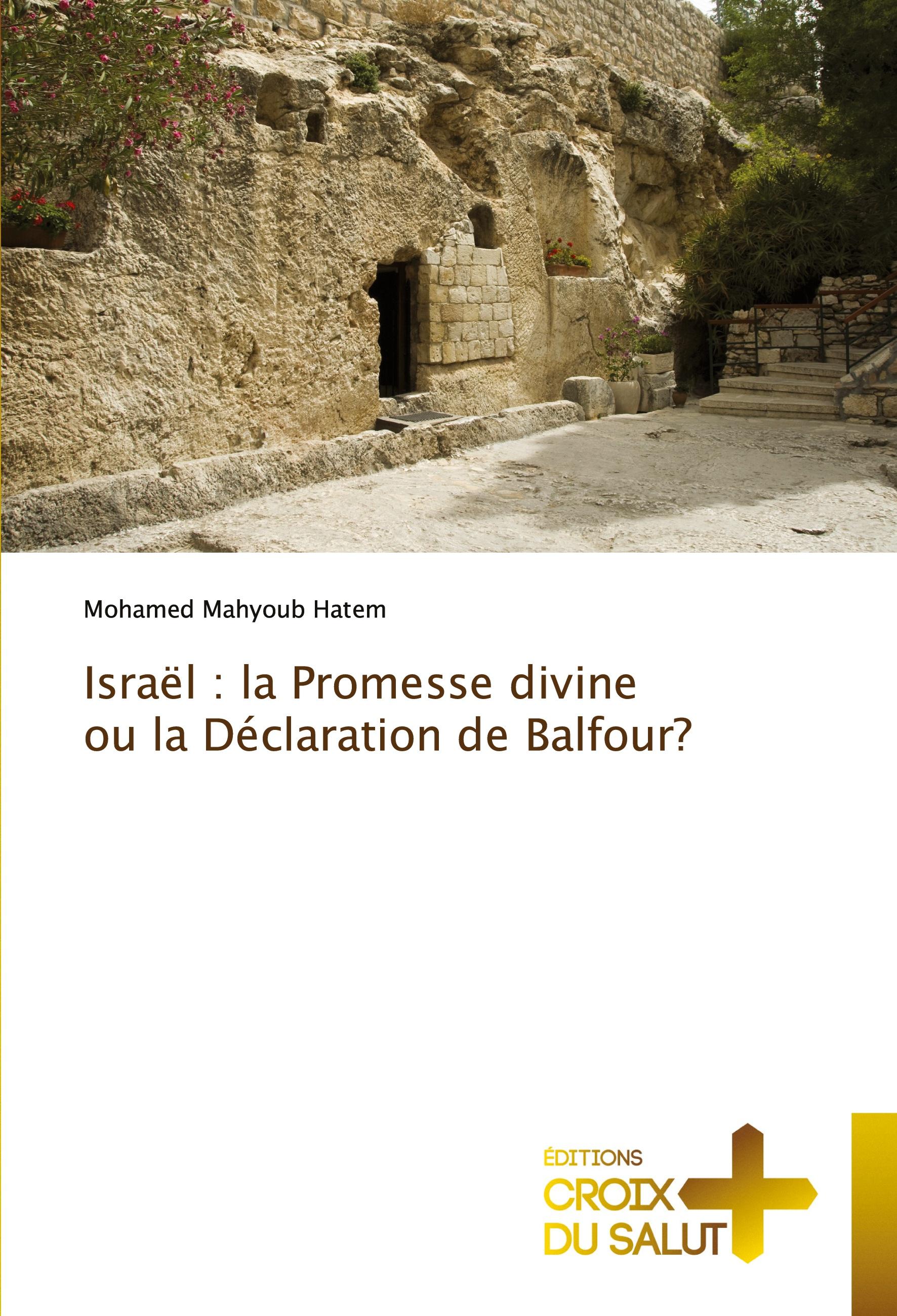 Vorderes Coverbild Israël : la Promesse divine ou la Déclaration de Balfour?