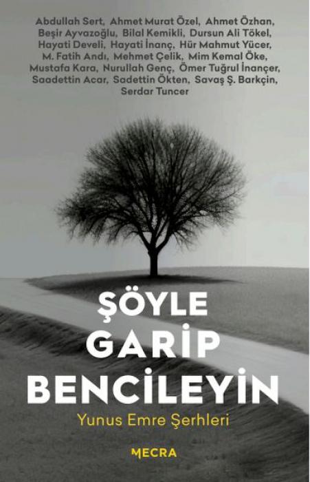 Vorderes Coverbild Söyle Garip Bencileyin